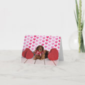 Valentinstag - Sophie - Dackel Feiertagskarte (Vorderseite)