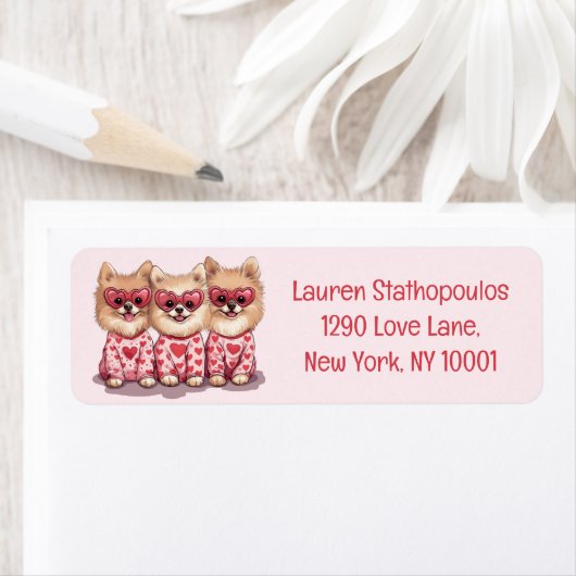 Valentinstag Spitz Hunde (Insitu)