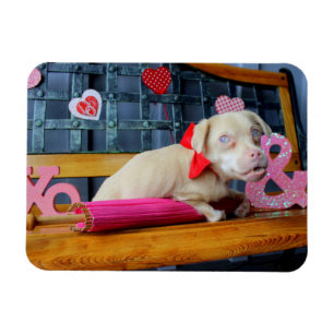 Valentinstag Tucker Magnet