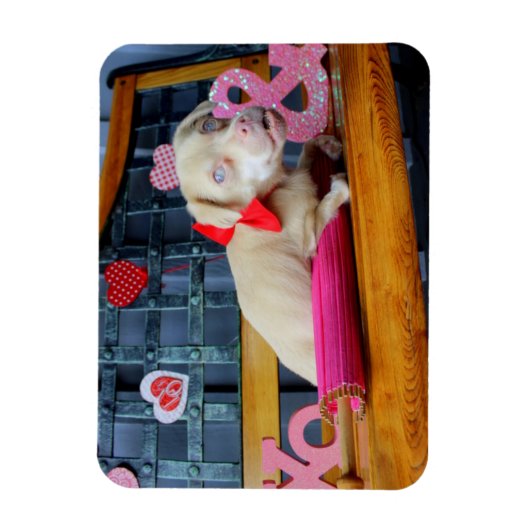 Valentinstag Tucker Magnet (Vertikal)