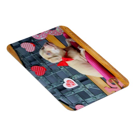 Valentinstag TuckerWearsGoggles Magnete (Rechte Seite)