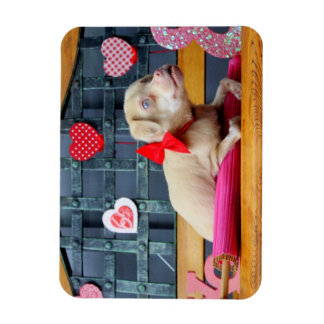 Valentinstag TuckerWearsGoggles Magnete