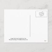 Valentinstag Vorschlag Martini Rezept Karte (Rückseite)