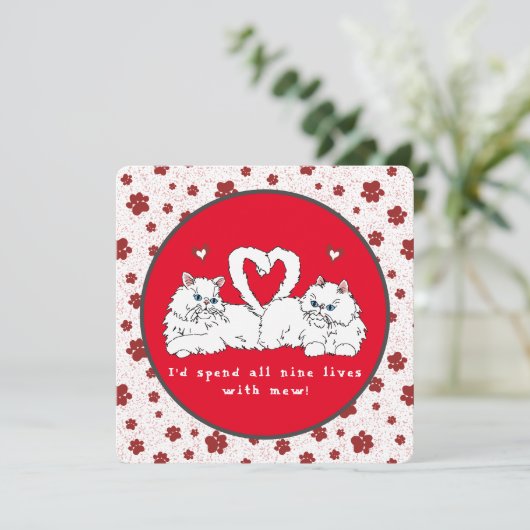 Valentinstag Weiße Persische Katzen mit Herz (Stehend Vorderseite)