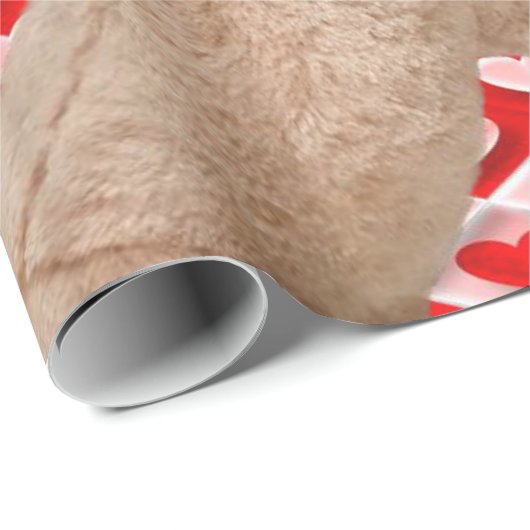 Valentinstag Wrapping Paper Geschenkpapier (Rolleneckpunkt)