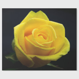 Valentinstag-Wrapping-Papier Geschenkpapier