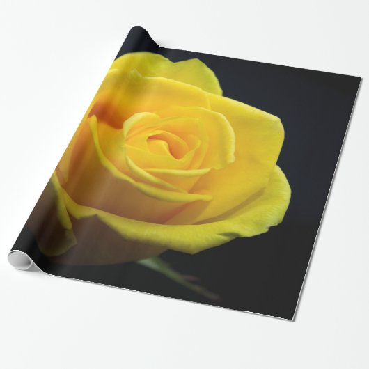 Valentinstag-Wrapping-Papier Geschenkpapier (Ungerollt)