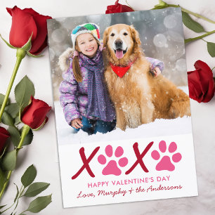 Valentinstag XOXO Modernes Welpenhund Foto Feiertagskarte