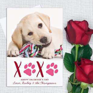 Valentinstag XOXO Niedliche Haustiere Welpen Foto Feiertagskarte