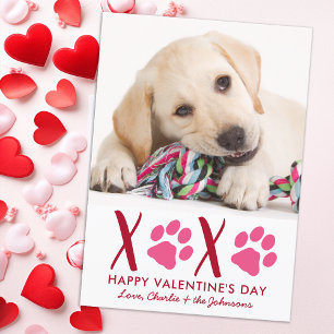 Valentinstag XOXO Niedliche Welpe Pet Foto Feiertagskarte