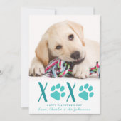 Valentinstag XOXO Niedlicher Welpenhund Foto Feiertagskarte (Vorderseite)