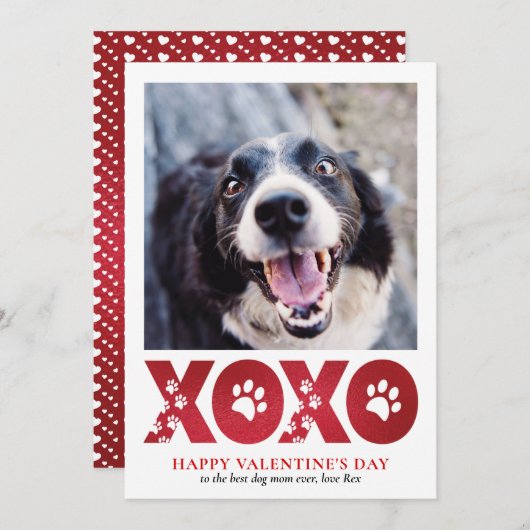 Valentinstag XOXO Pet Dog Foto Feiertagskarte (Vorne/Hinten)
