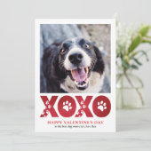 Valentinstag XOXO Pet Dog Foto Feiertagskarte (Stehend Vorderseite)