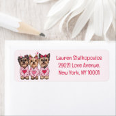 Valentinstag Yorkie Dogs (Insitu)