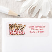 Valentinstag Yorkshire Terrier Dogs (Insitu)