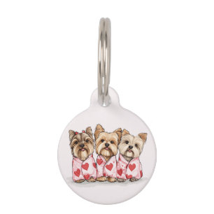 Valentinstag Yorkshire Terrier Dogs Haustiermarke