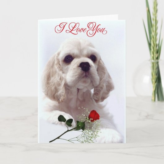 Valentinstagkarte Feiertagskarte (Vorderseite)