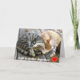 Valentinstagkarte mit Katzen - freier Raum Feiertagskarte
