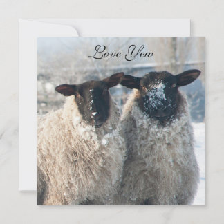 Valentinstagskarte Karte