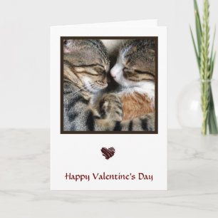 Valentinstagskarte Katzenliebe Feiertagskarte