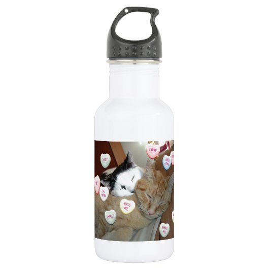 Valentintagskatzen Edelstahlflasche (Vorderseite)