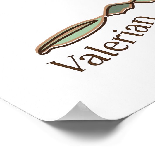 Valerian Poster (Ecke)