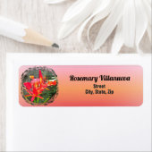 Vallarta Flaming Beauty 1583 Anschrift (Insitu)