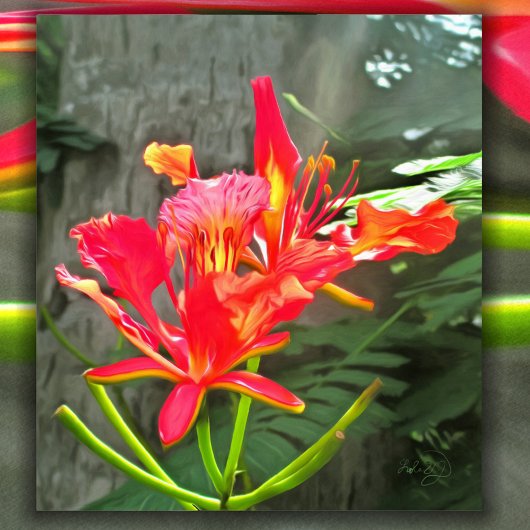 Vallarta Flaming Beauty 1583 Art Print Poster