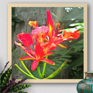 Vallarta Flaming Beauty 1583 Kunstprint Poster