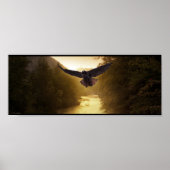Valley Eagle Poster (Vorne)