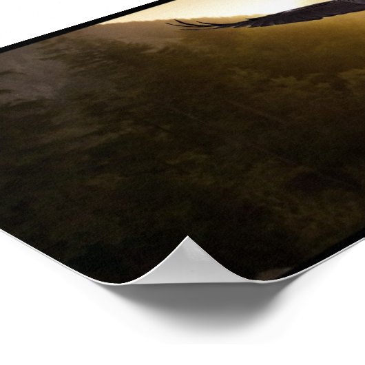 Valley Eagle Poster (Ecke)