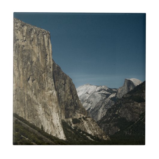 Valley Guardians Tile Fliese (Vorderseite)