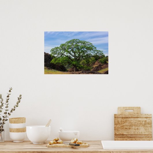 Valley Oak Tree Poster (Küche)