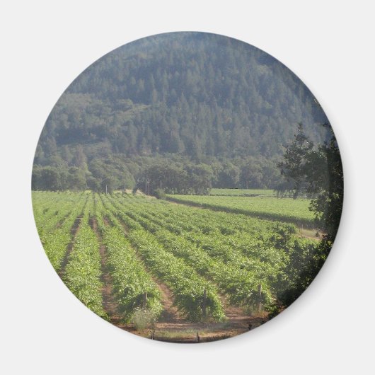 Valley Vineyards I Magnet (Vorne)