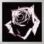 Valorin - Rosa Poster (Vorne)