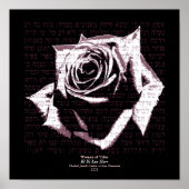 Valorin - Rosa Poster (Vorne)