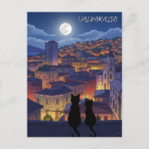 Valparaiso Chile Katzen in der Nacht