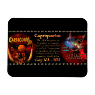 Valxart Capriquarius Steinbock-Wassermann-Spitze Magnet