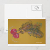 Valya's Radishes Postkarte (Vorne/Hinten)