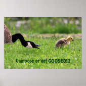 Vamoose Poster (Vorne)