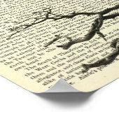 Vampir Bat, Gotik, Dracula, Bat, Natur Poster (Ecke)