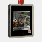 Vampir-Katzenlächeln Silbernes Ornament (Rechts)