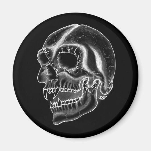 Vampir skull Schwarzweiß-Design Magnet (Vorne)