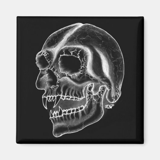 Vampir skull Schwarzweiß-Design Magnet (Vorne)