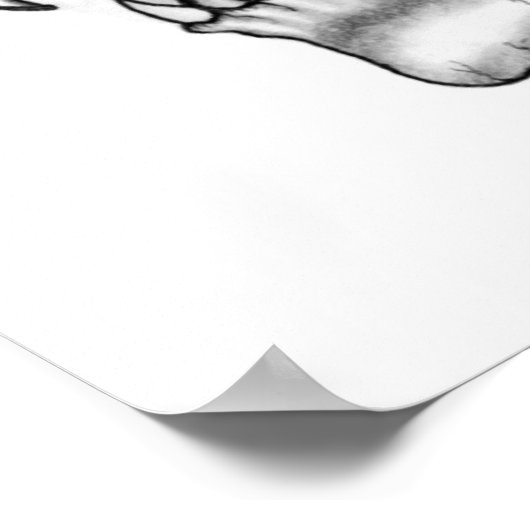 Vampir skull Schwarzweiß-Design Poster (Ecke)