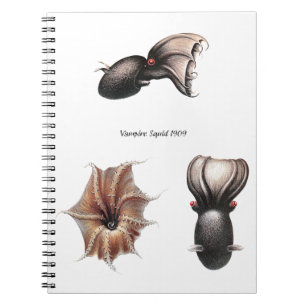 Vampir-Tintenfisch-Notizbuch Notizblock