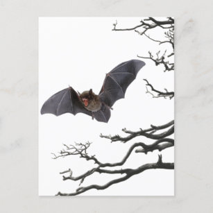Vampire Bat, Gothic, Dracula, Bat, Horror Postkarte