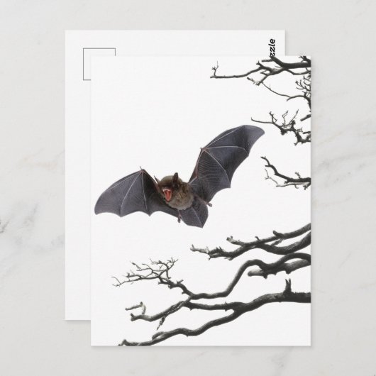 Vampire Bat, Gothic, Dracula, Bat, Horror Postkarte (Vorne/Hinten)