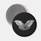 Vampire ? Bat ? Magnet (Vorderseite/Rückseite)