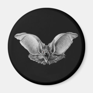 Vampire ? Bat ? Magnet